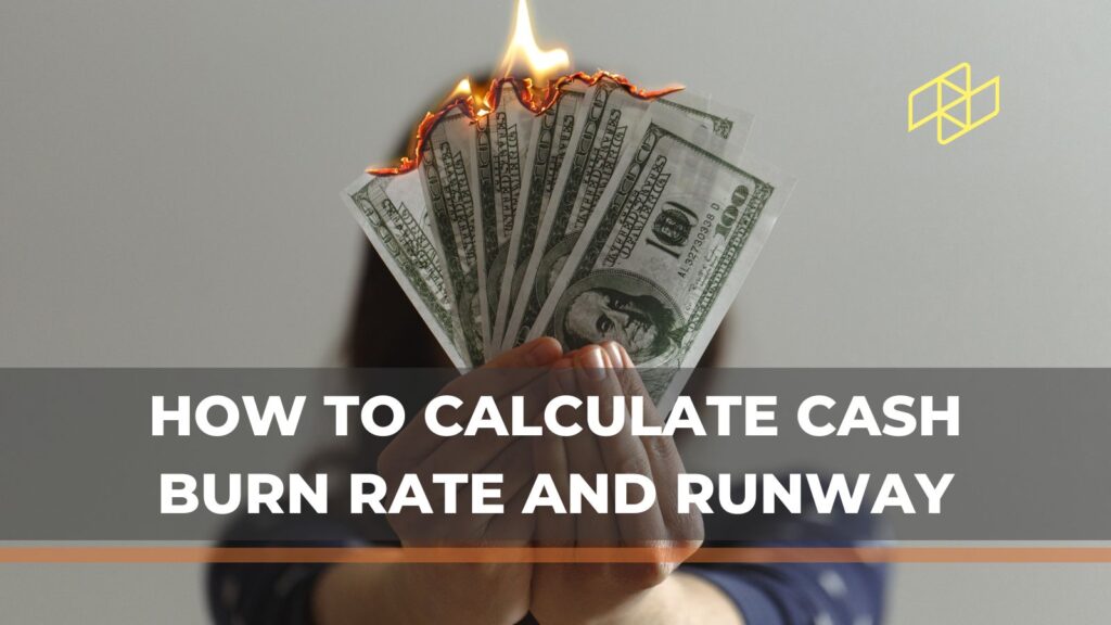 Cash burn rate and cash runway